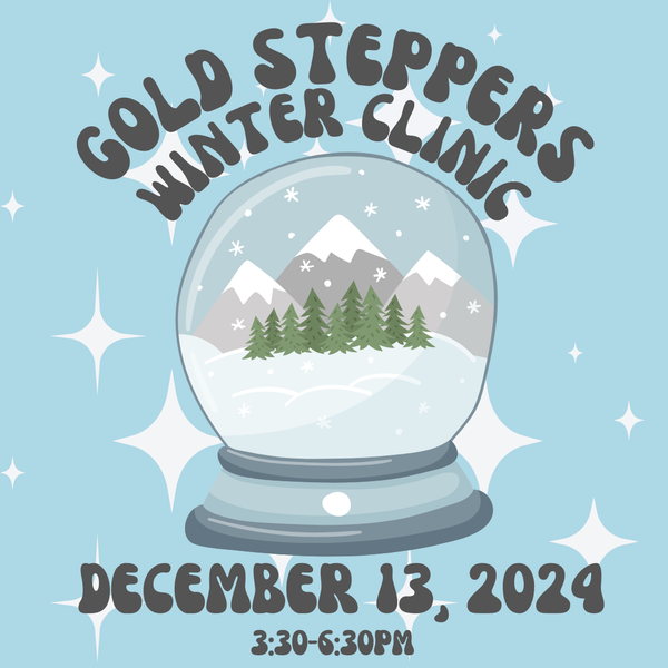 Gold Steppers Winter Clinic