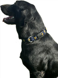 Nola Couture Knight Pet Collar