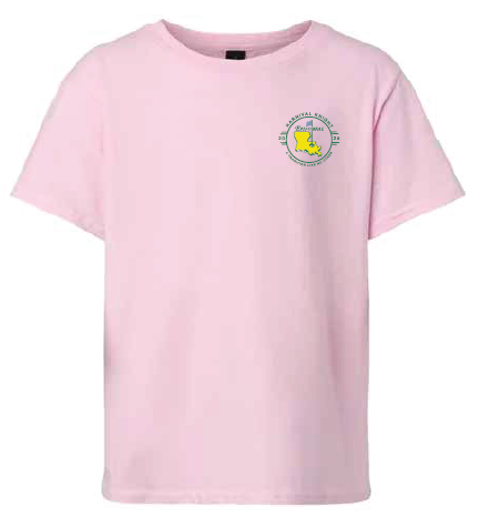 2026 Karnival Knight Tshirt - Pink